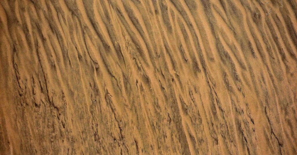 カバネルのアカデミズム絵画としての画風と技術的特徴を象徴する構図