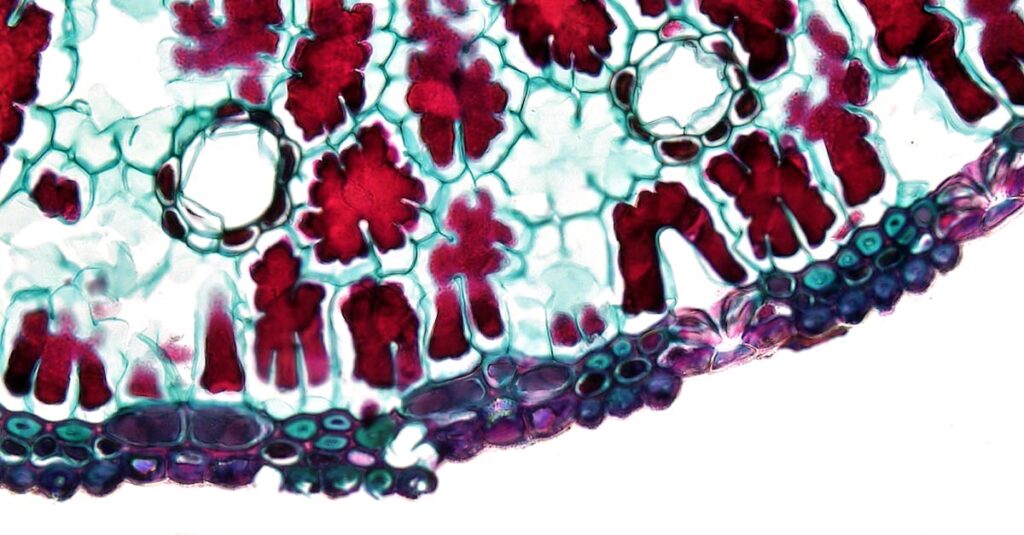 カバネルが19世紀アカデミズムの中で守った美と技法、そして印象派との対立を象徴する芸術界の構図