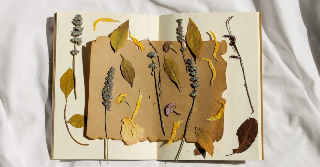 アルチンボルド作品集を開き、読書とアート鑑賞を楽しんでいる様子。奇想の絵と解説が並ぶページが映る。