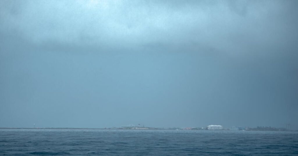 アルチンボルドの四季シリーズ全体像。春夏秋冬がそれぞれの植物で構成された人の肖像として描かれている。