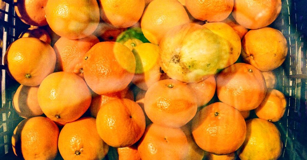アルチンボルドが描いた果物や野菜で構成された肖像画の代表作。見れば見るほど不思議なアート。