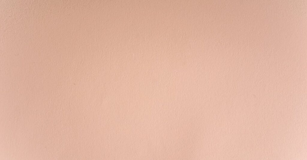 アカデミズムの中で表現されたカバネルの崇高なエロスと制度との緊張関係を描く構図