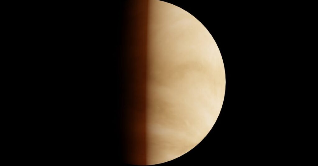 《ヴィーナスの誕生》に見られるカバネルの美学と技術的な特徴を象徴する構図