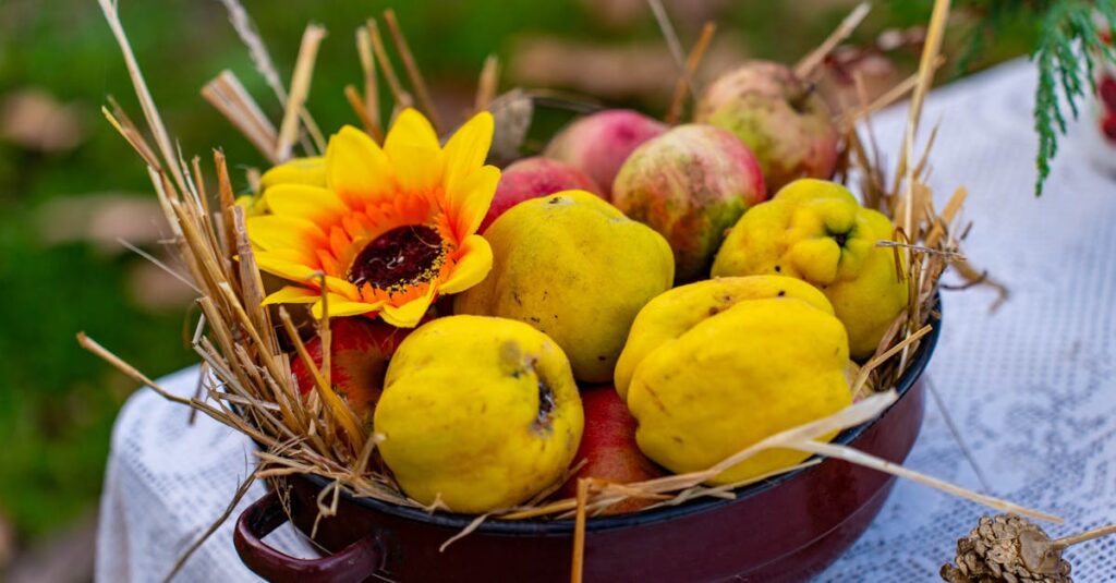 アルチンボルドの作品に込められた視覚トリックや象徴、再構成の意味を読み解くイメージビジュアル