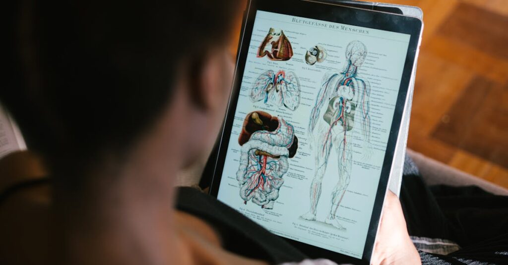 カバネルのアカデミックな画風と印象派の対比。クラシカルな美と近代アートの分岐点を示す図。