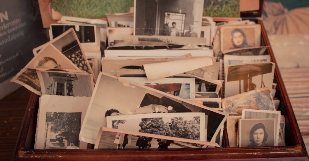 アルチンボルドの現代アートへの影響と、鑑賞者による多様な解釈が広がる肖像画の世界