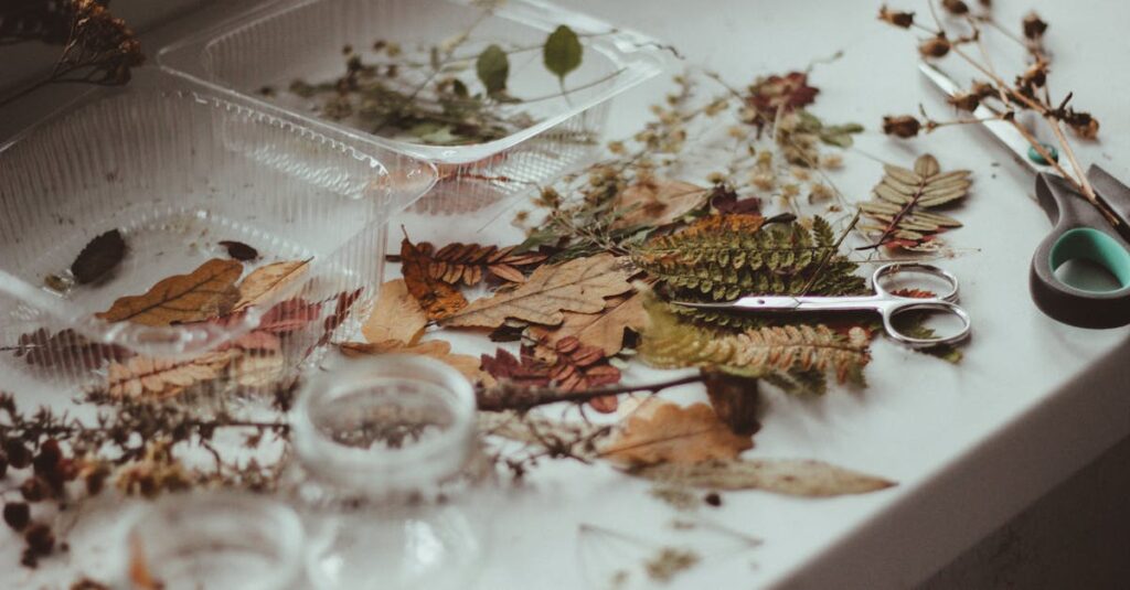 アルチンボルドの四季シリーズと四大元素シリーズ、職業肖像や風刺作品が分類されて展示されているアート展の一角。