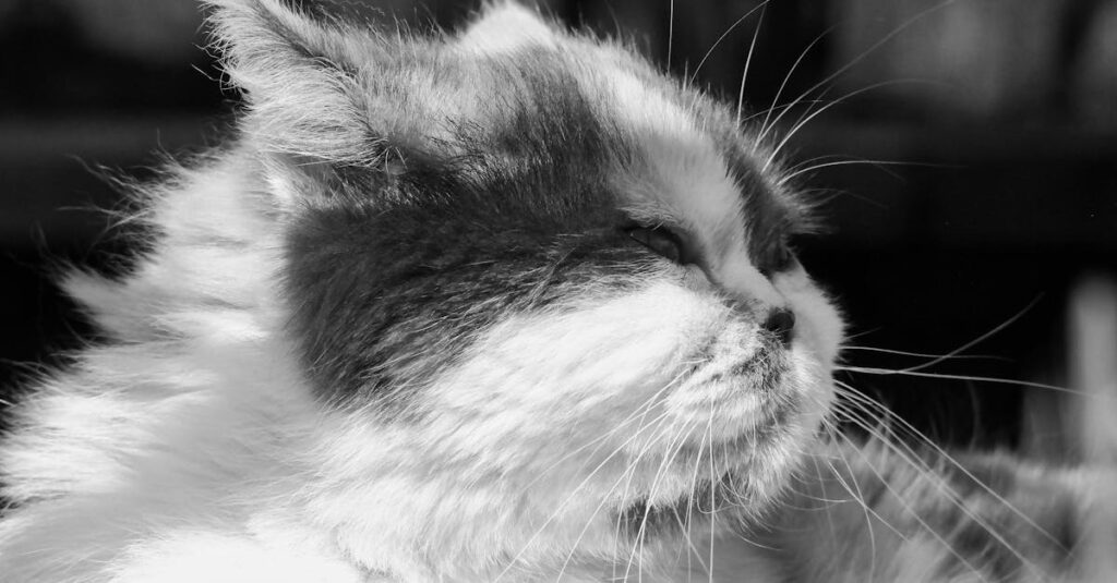 19世紀フランス画家アレクサンドル・カバネルの肖像。サロン絵画の代表者として気品ある佇まい。