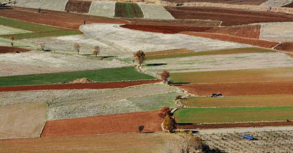 アルチンボルドの代表作、四季シリーズや司書など、顔を自然や本で構成したユニークな作品群