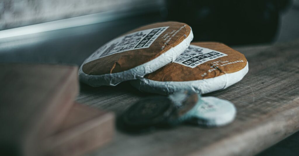 アルチンボルドの代表作が図録形式で紹介されている様子。四季や元素、職業シリーズの絵が並ぶ。