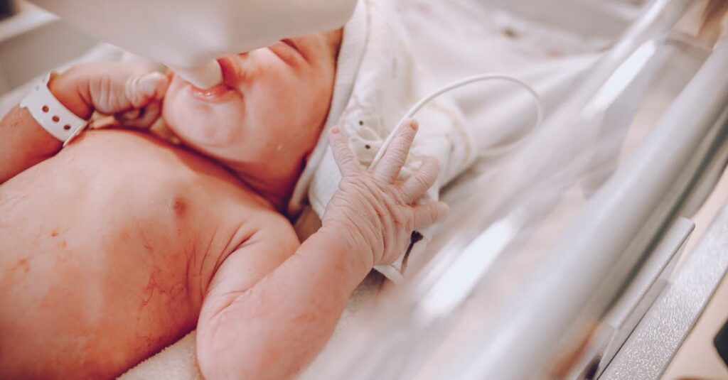 カバネルの代表作《ヴィーナスの誕生》に込められた技術と美の哲学を象徴する場面