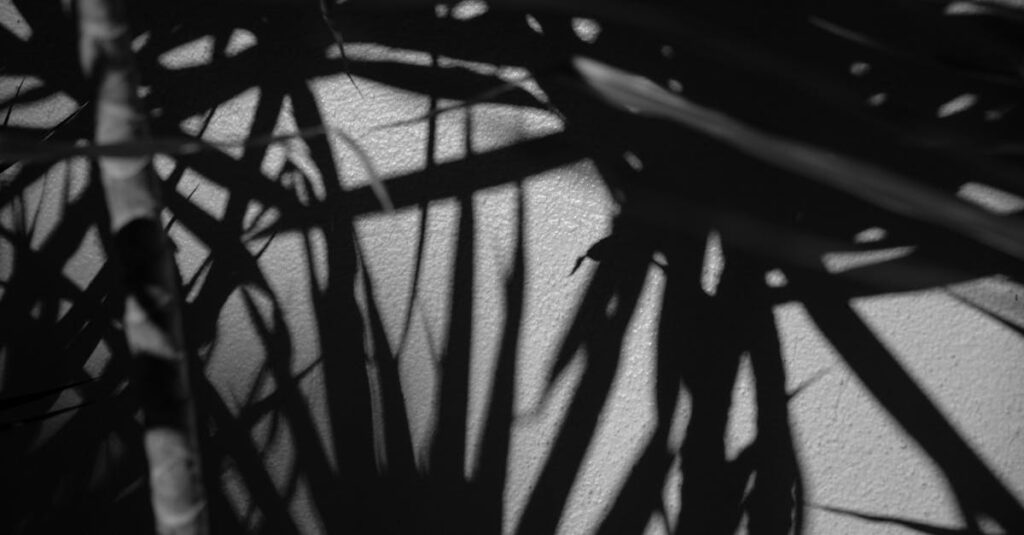 カラヴァッジオの絵画に見られる強い明暗の対比を表現する構図と演出