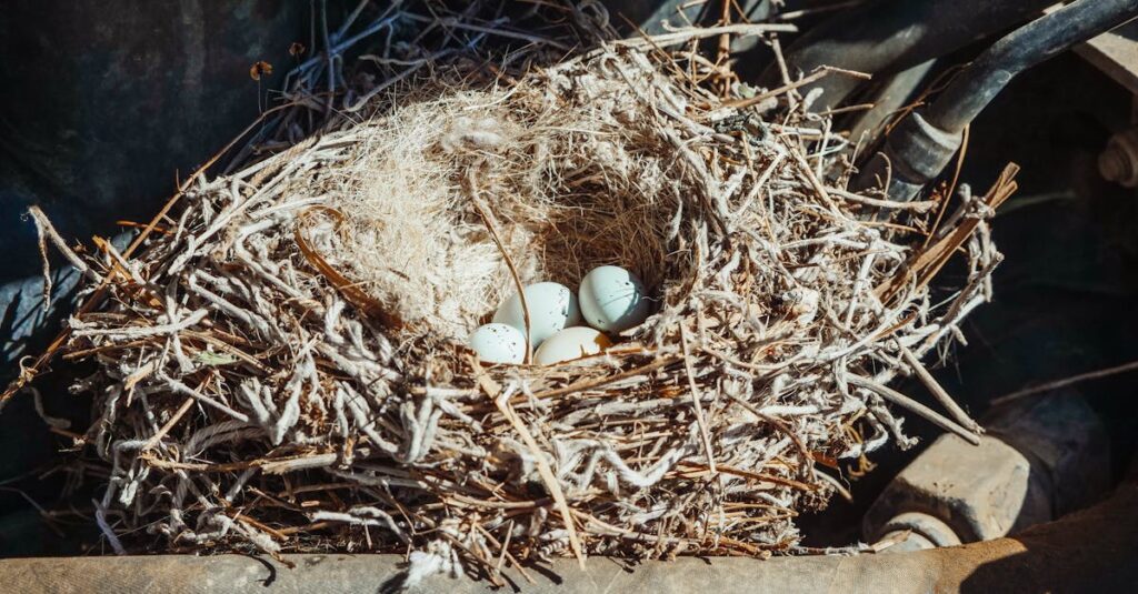 《ヴィーナスの誕生》に見られるカバネルの美学と技術的な特徴を象徴する構図