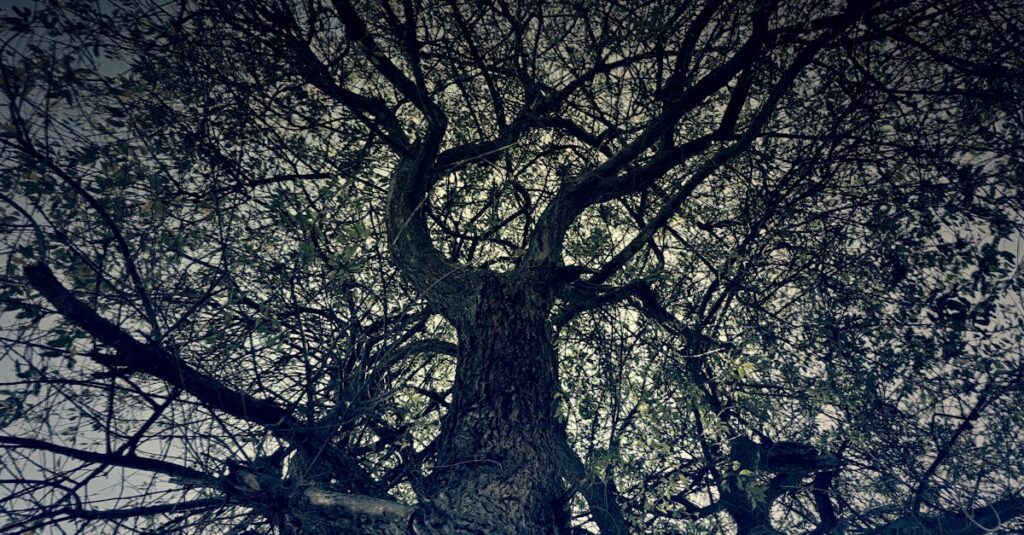 波乱万丈な人生を象徴するカラヴァッジオの劇的な作品と人物像を表すイメージ