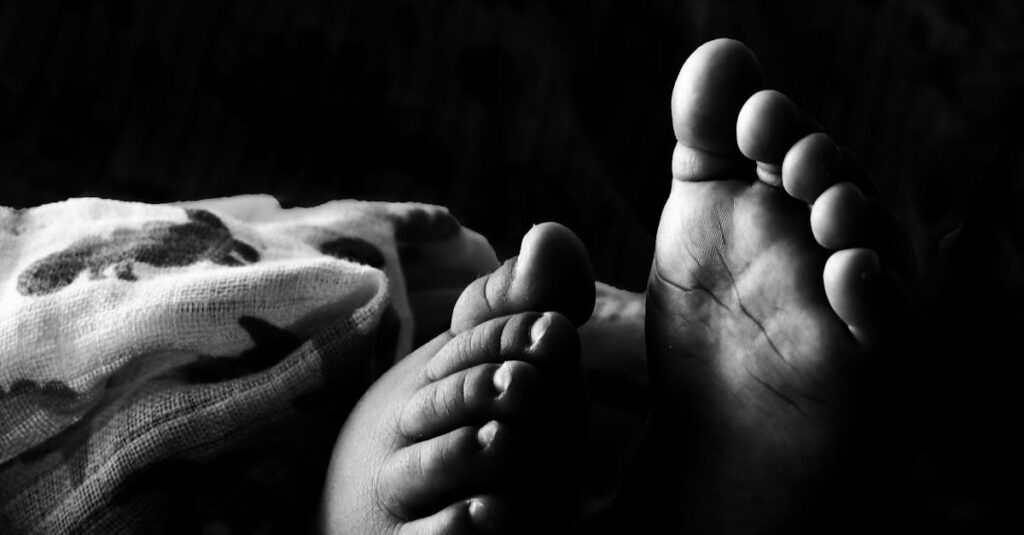 カバネルの代表作《ヴィーナスの誕生》に込められた技術と美の哲学を象徴する場面