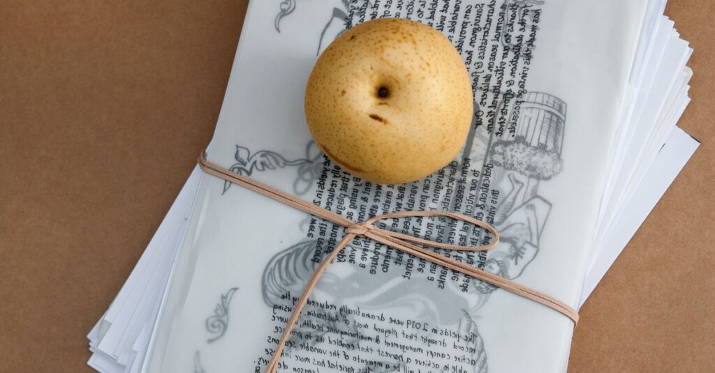 アルチンボルドの生涯や代表作を紹介する図録の一部。宮廷画家としての仕事や風刺画の構成がわかる。