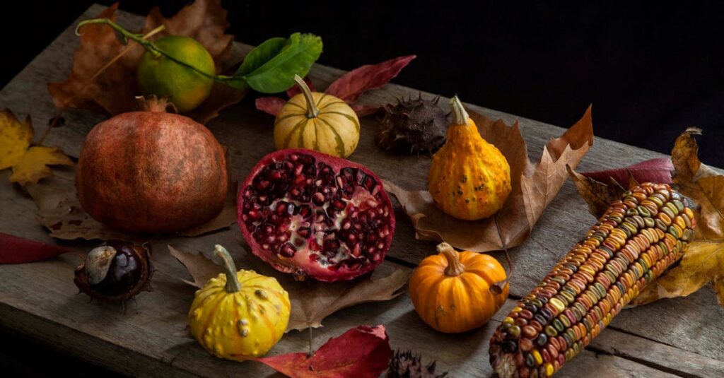 アルチンボルド作品の象徴性や構造をテーマ別に分析している図録のページ。素材やトリックに注目した解説が並ぶ。